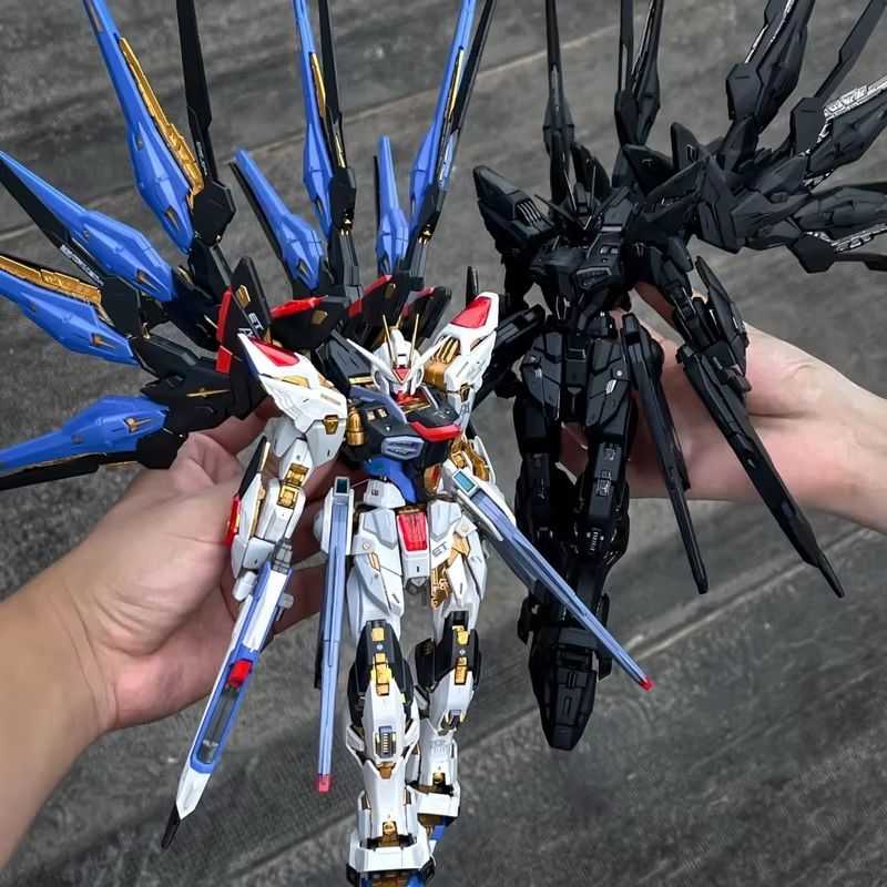 CHANGLONG Model 7701 MGEX ZGMF - Gundam Model Mg recensie en prijs