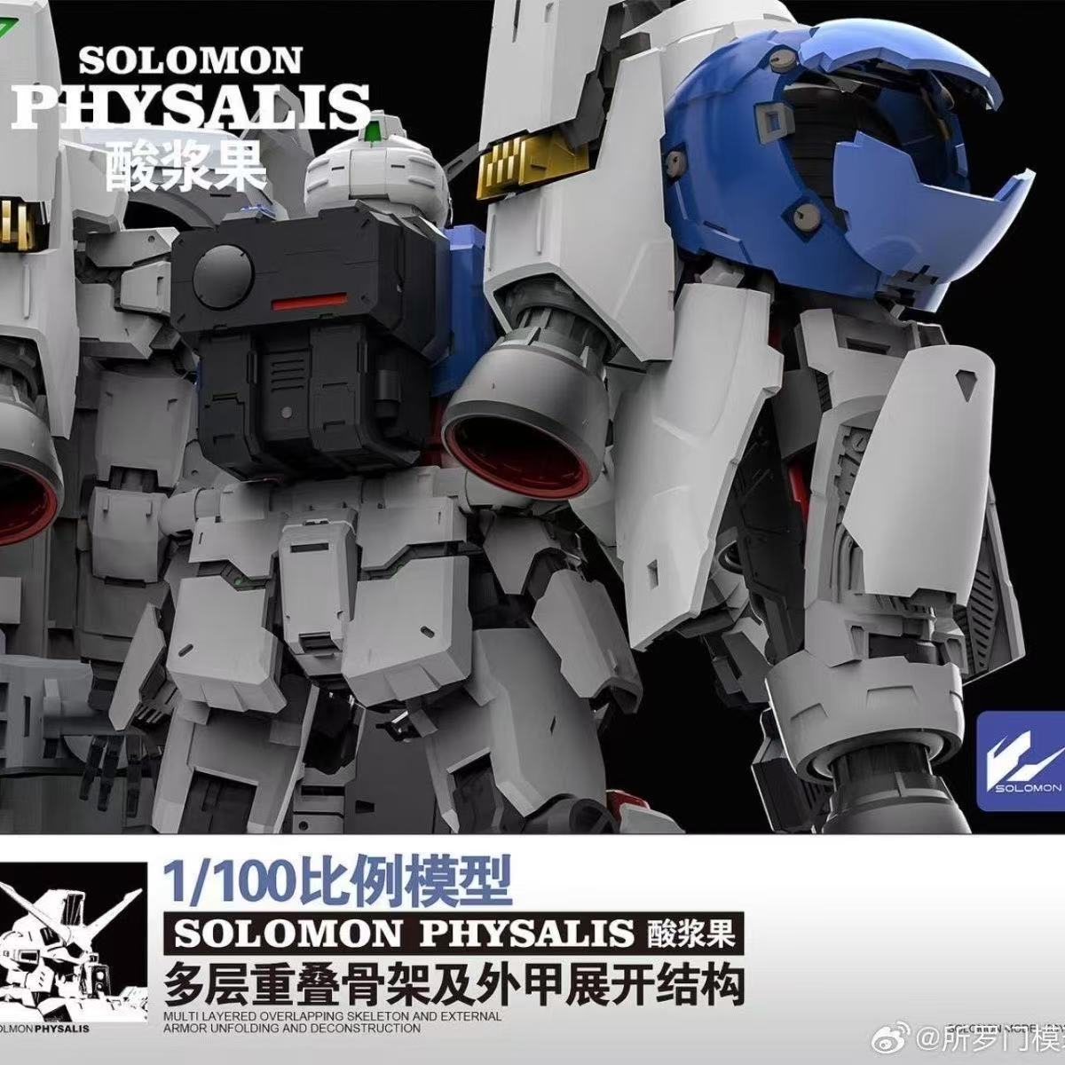 In Voorraad SOLOMON PHYSALIS G - Model Kit Daban recensie en prijs